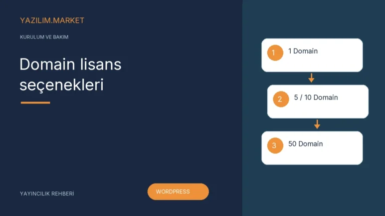 Domain lisans seçenekleri — Yazilim.Market yayıncılık rehberi